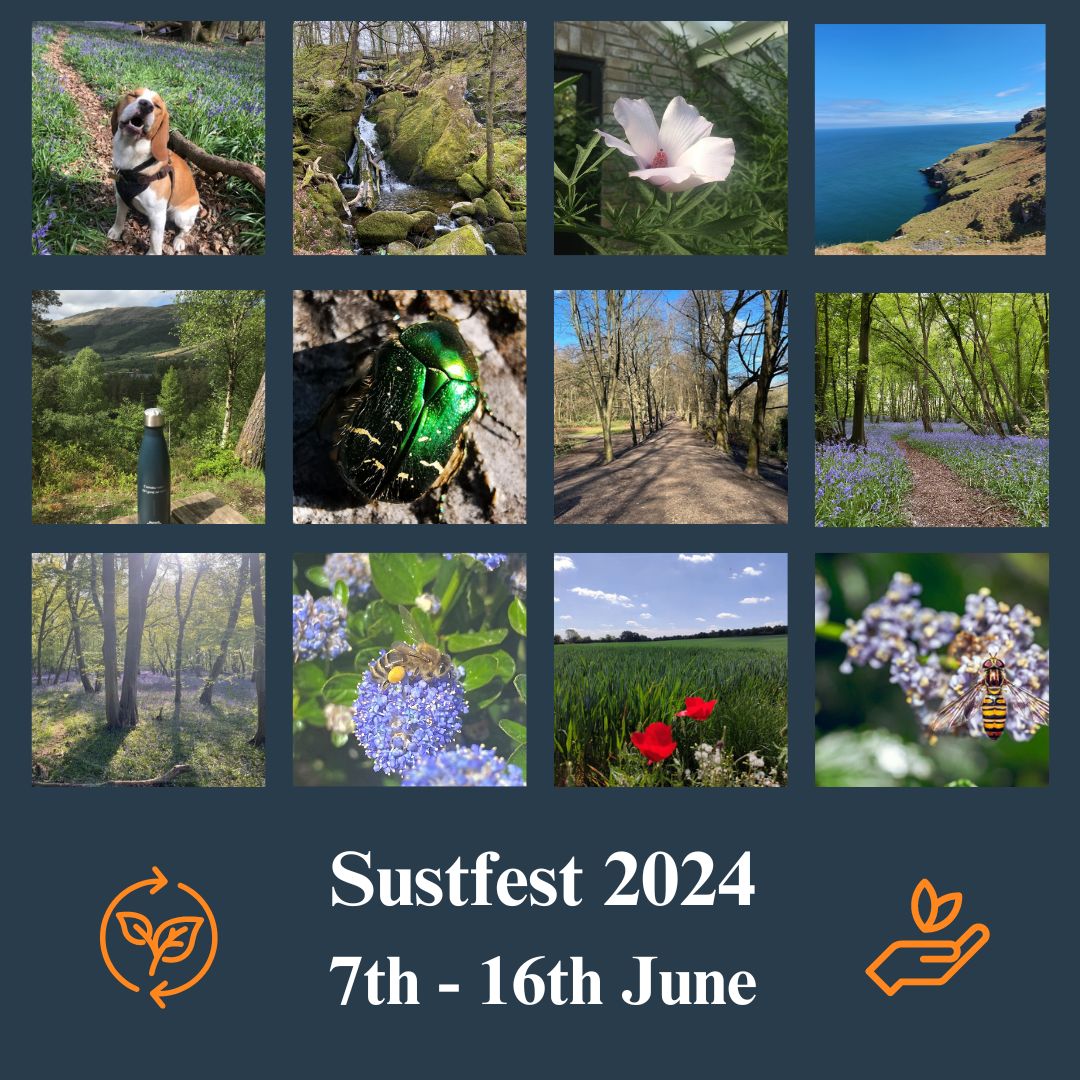 Article image - Sherrards are sponsoring Sustfest 2024!