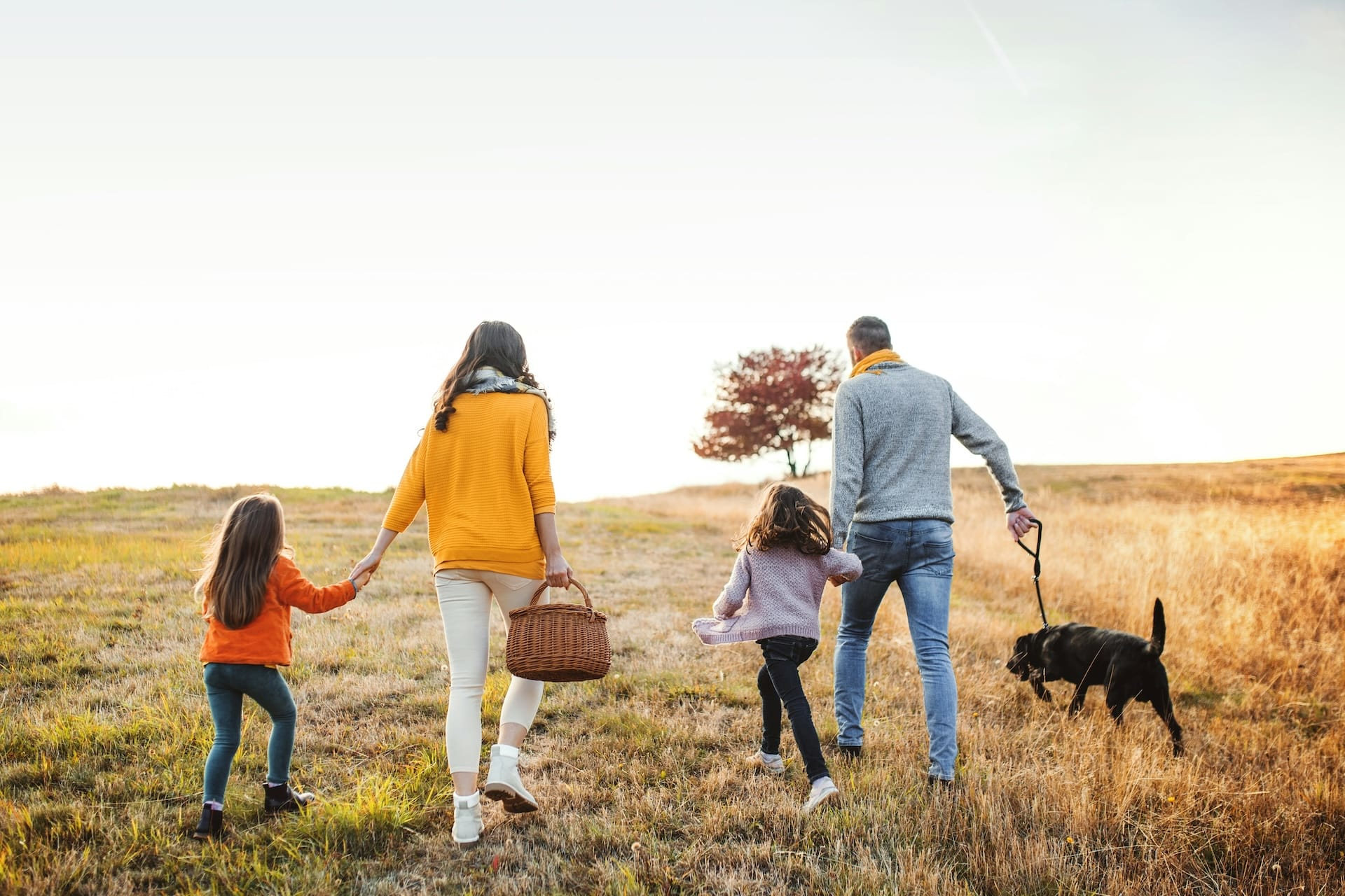 Article Image - Family Law 2