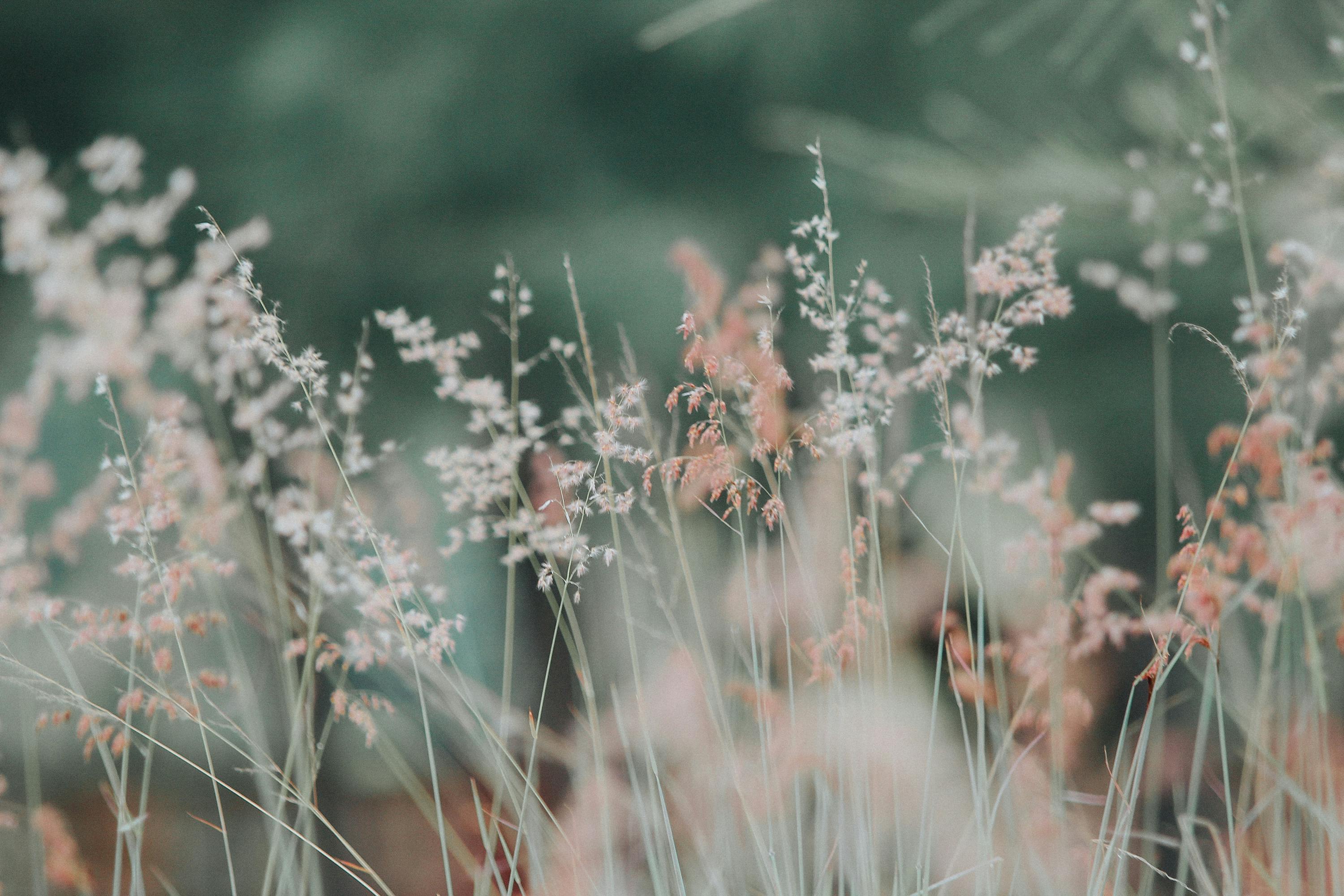 Mental Health Week 2025 - Article